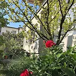 Stadtoase Coblence