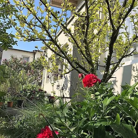 Stadtoase Koblenz (Rhineland-Palatinate)