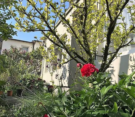 Stadtoase Koblenz (Rhineland-Palatinate)