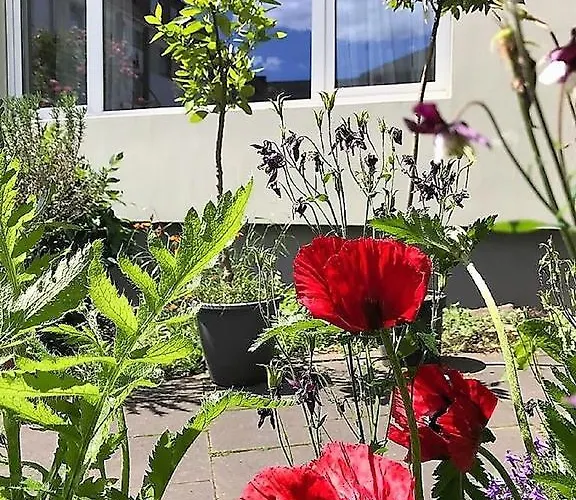 아파트 Stadtoase 코블렌츠